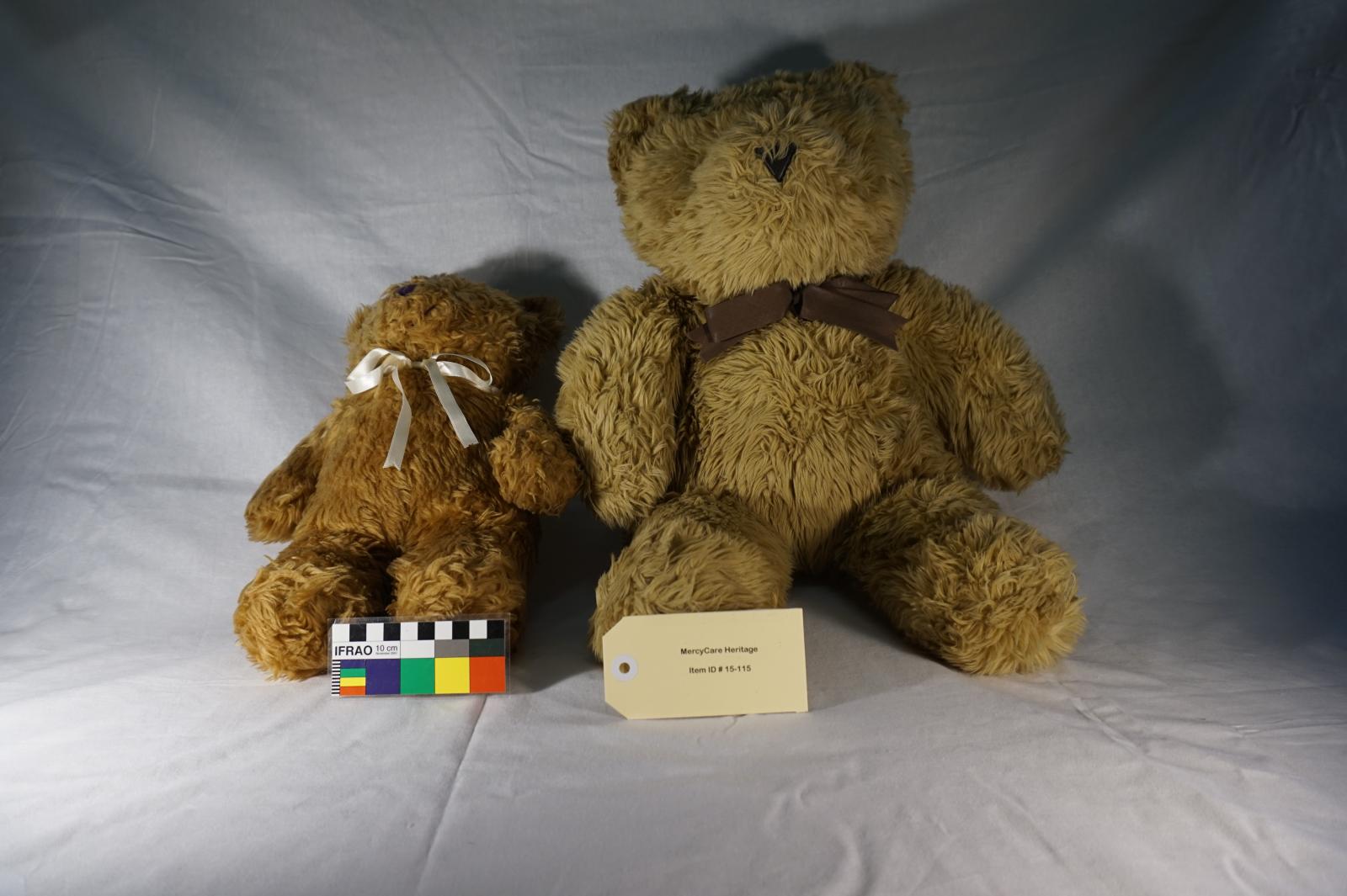 Set of 2 Stuffed Teddy Bears