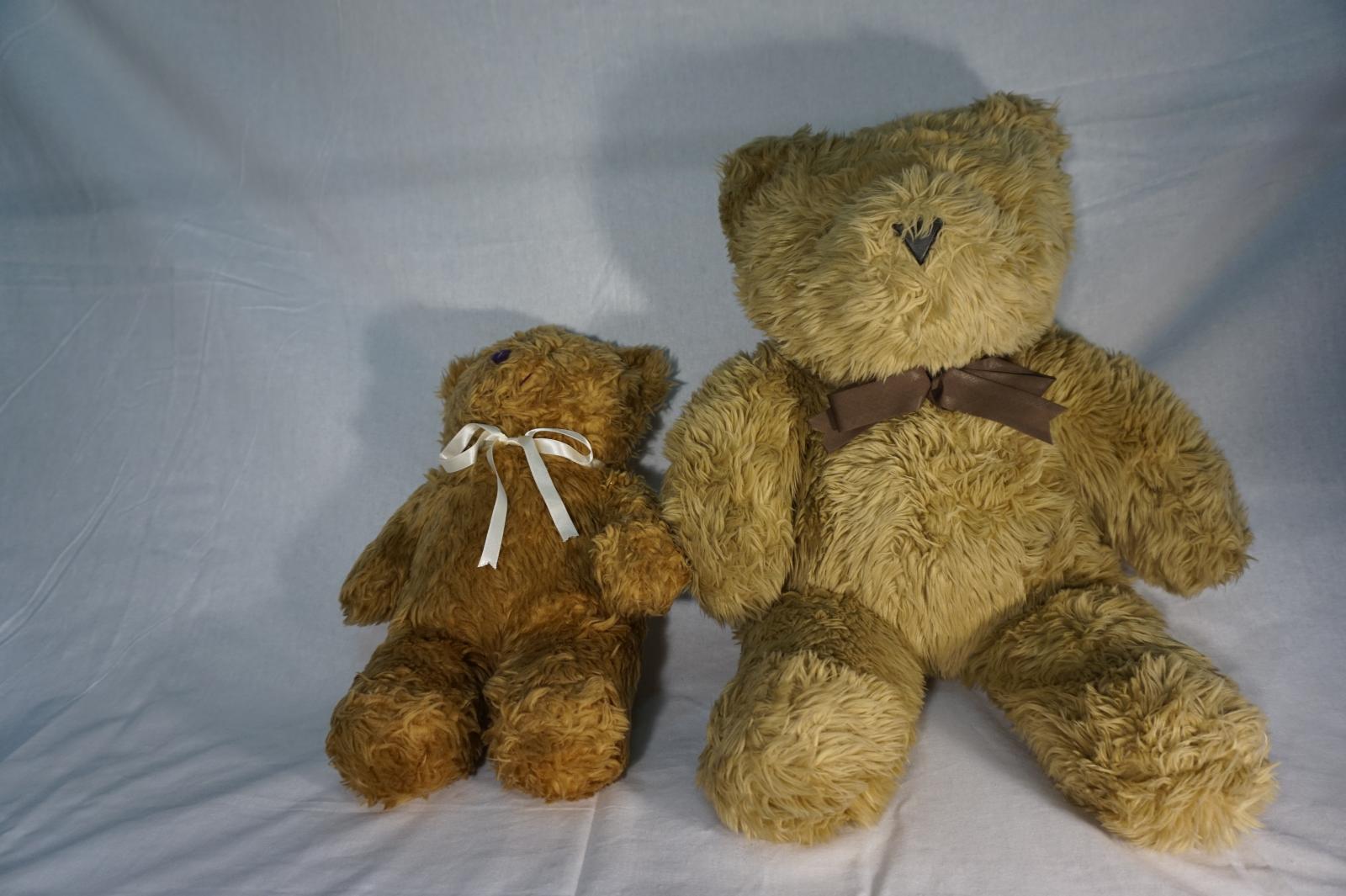 Set of 2 Stuffed Teddy Bears