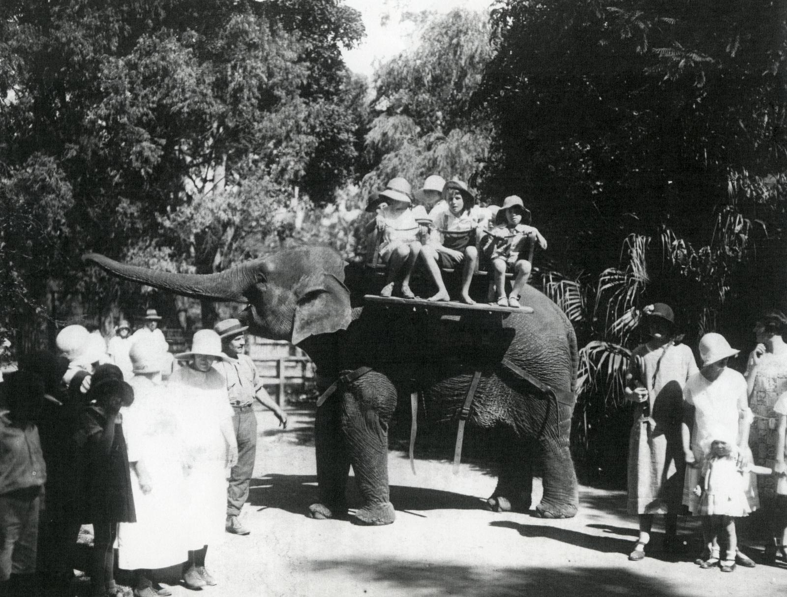 Children riding an elephant