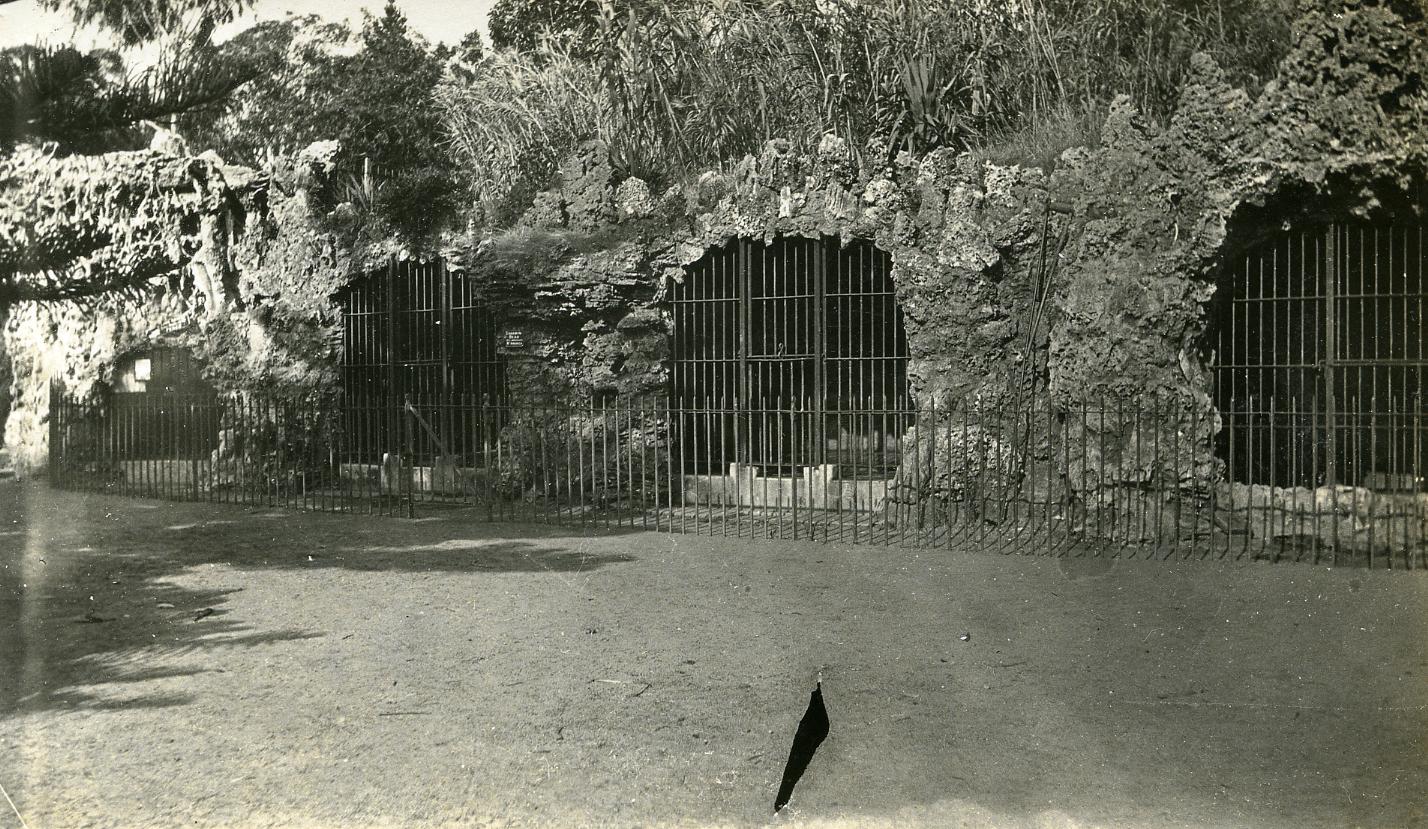 Bear cages