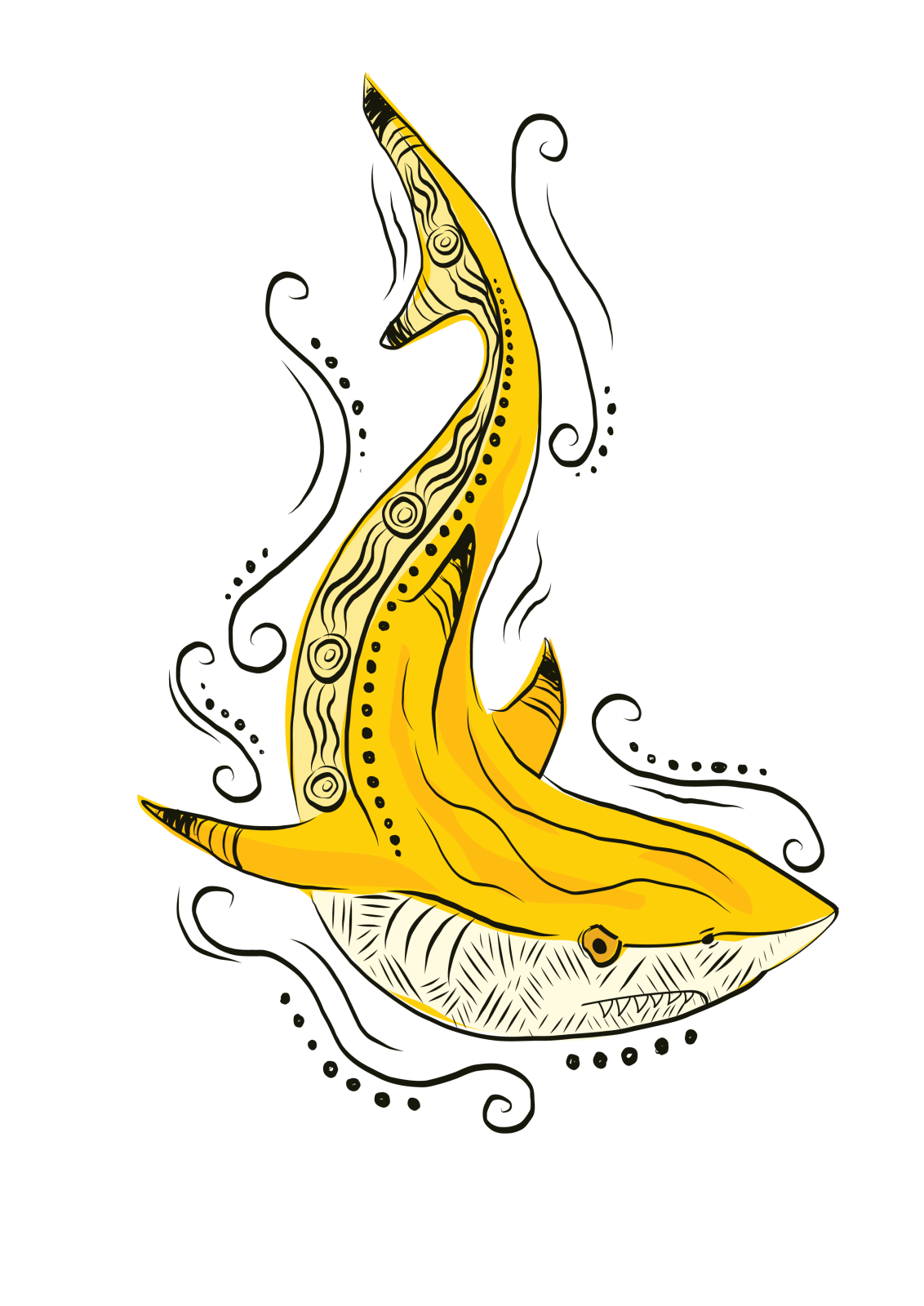 Kwila/Shark