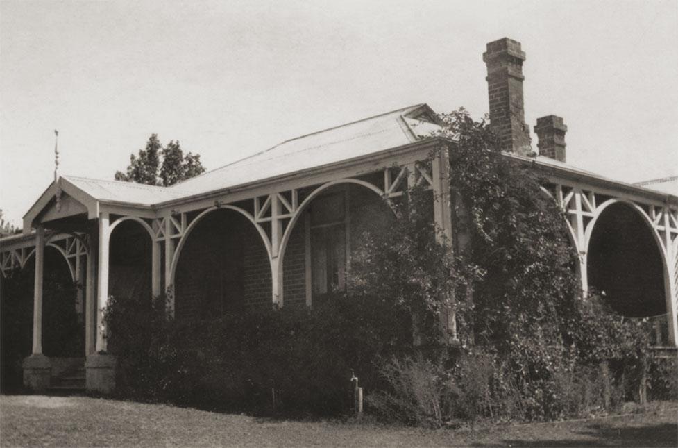 'Wainomi'