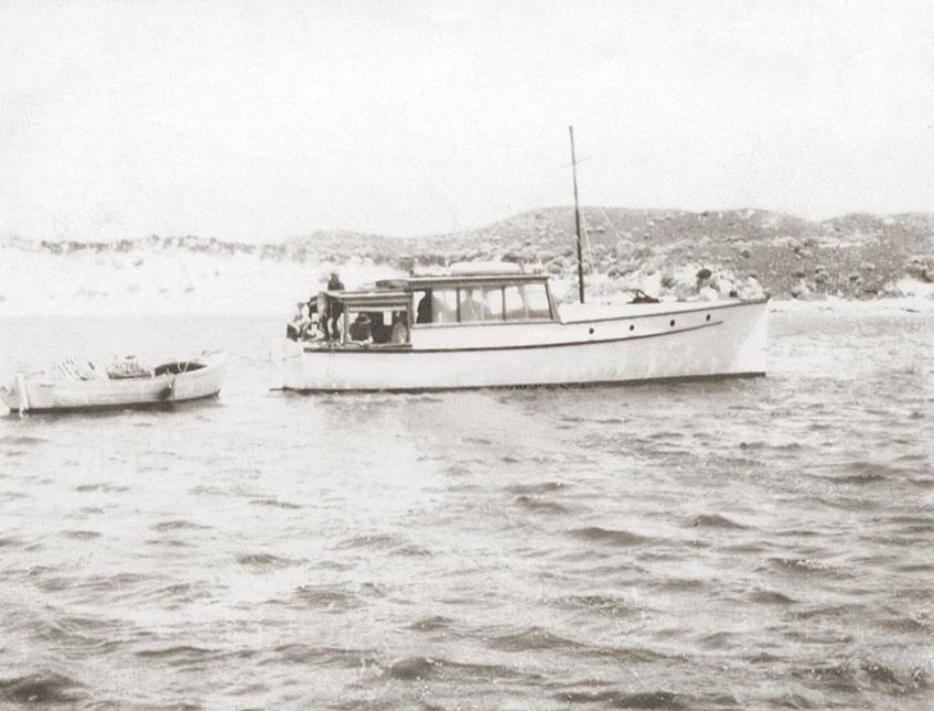 'Peter Pan'
