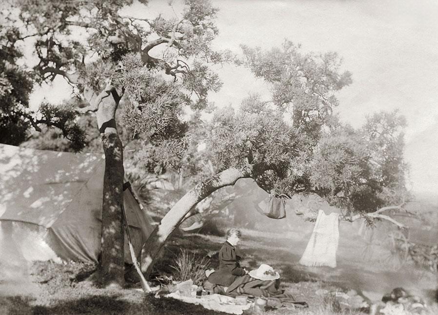 Camp At Point Walter
