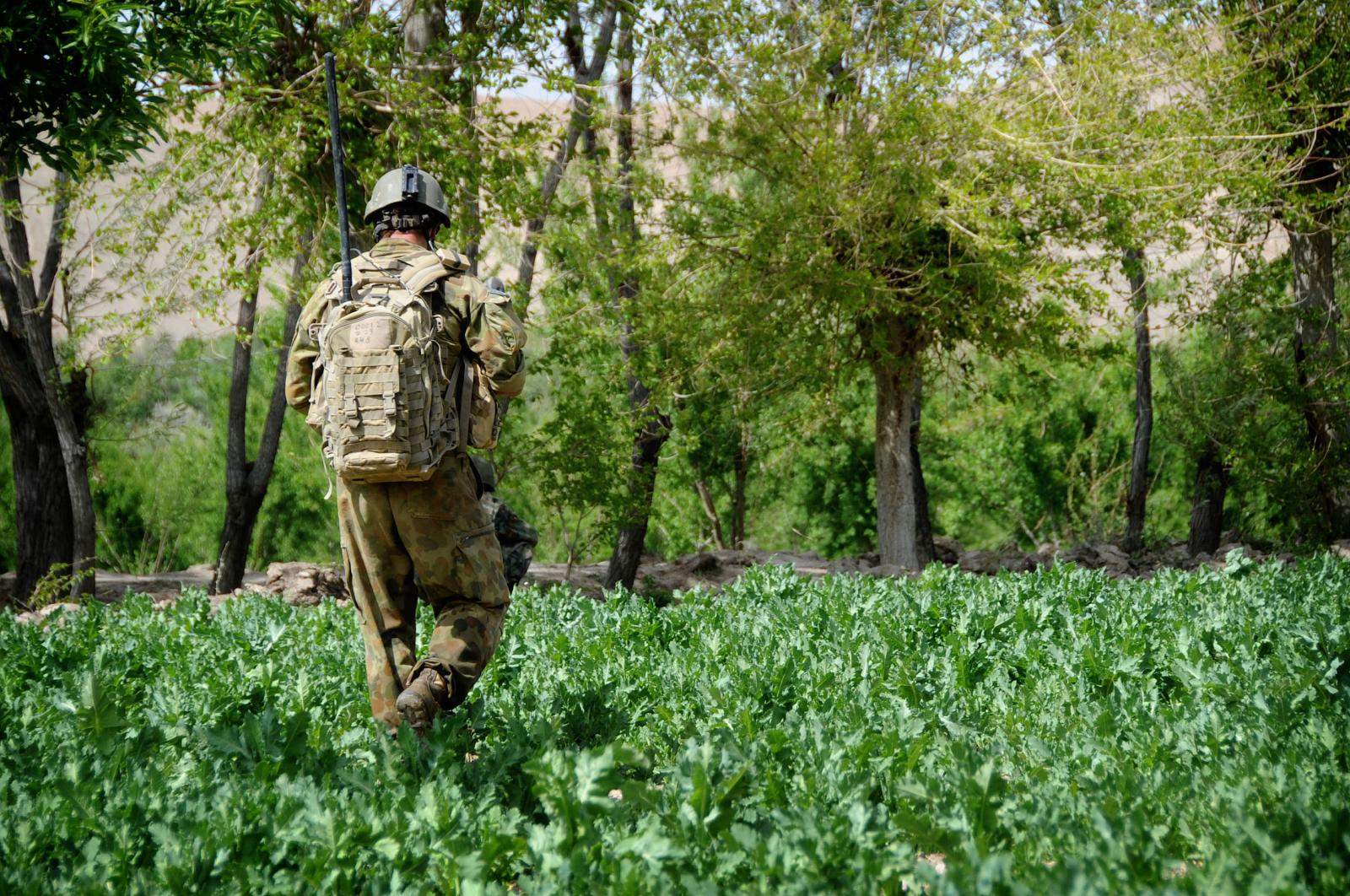 Patrol