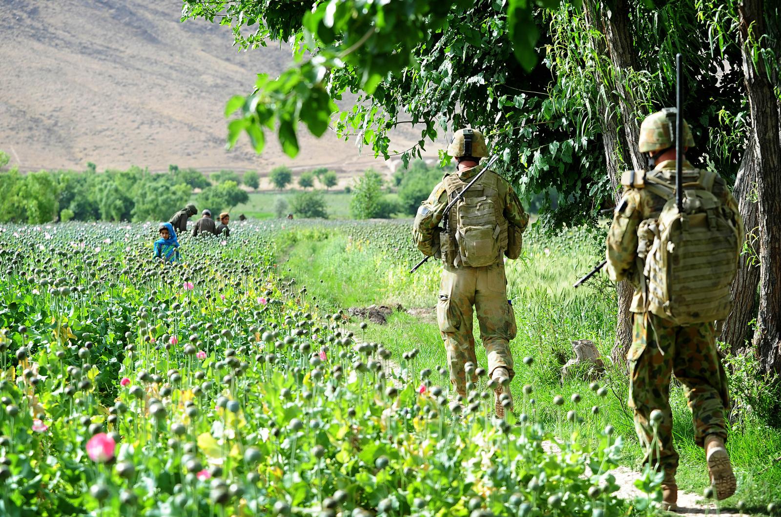Patrol