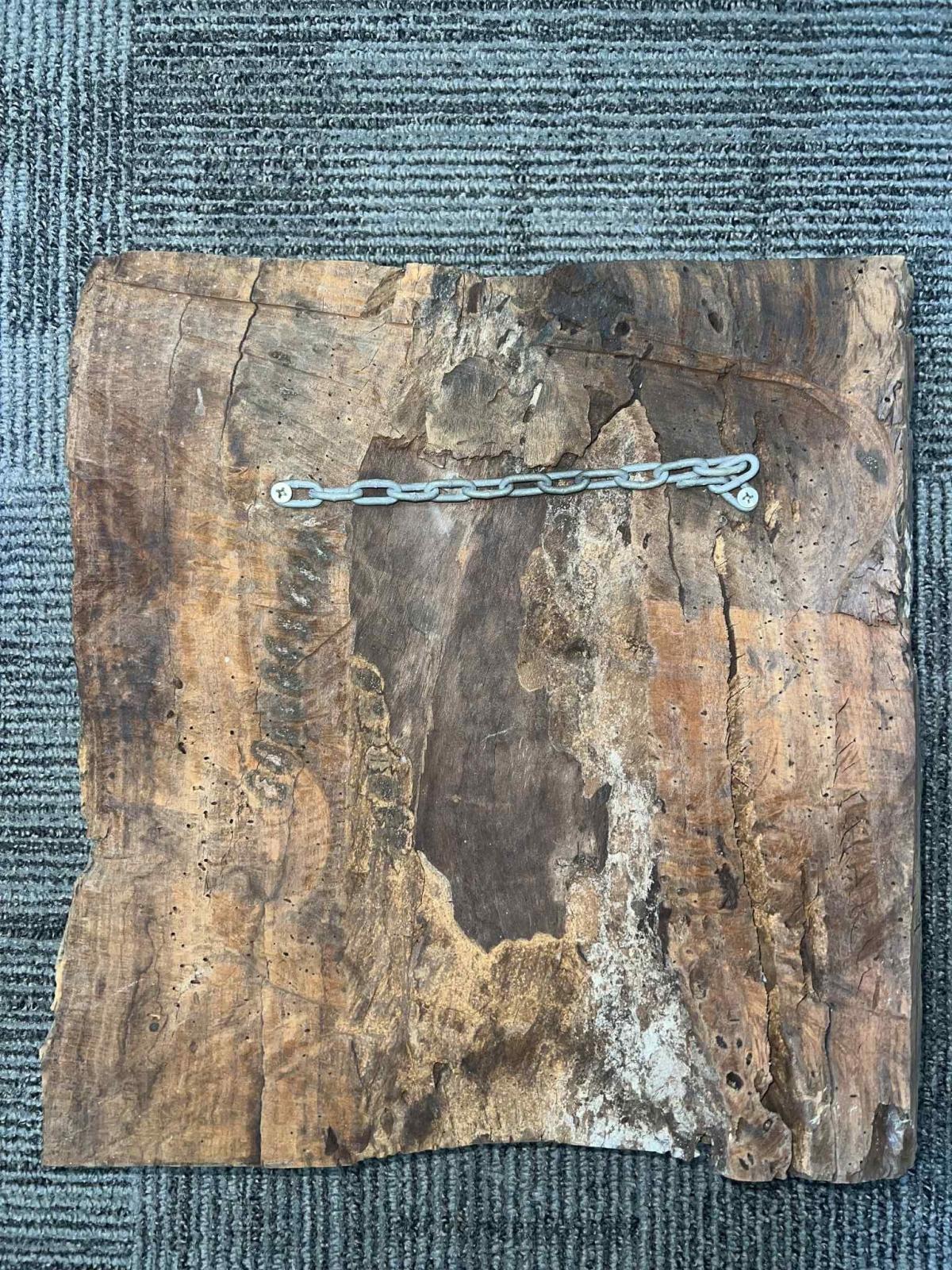 Wooden survey marker with hanging chain