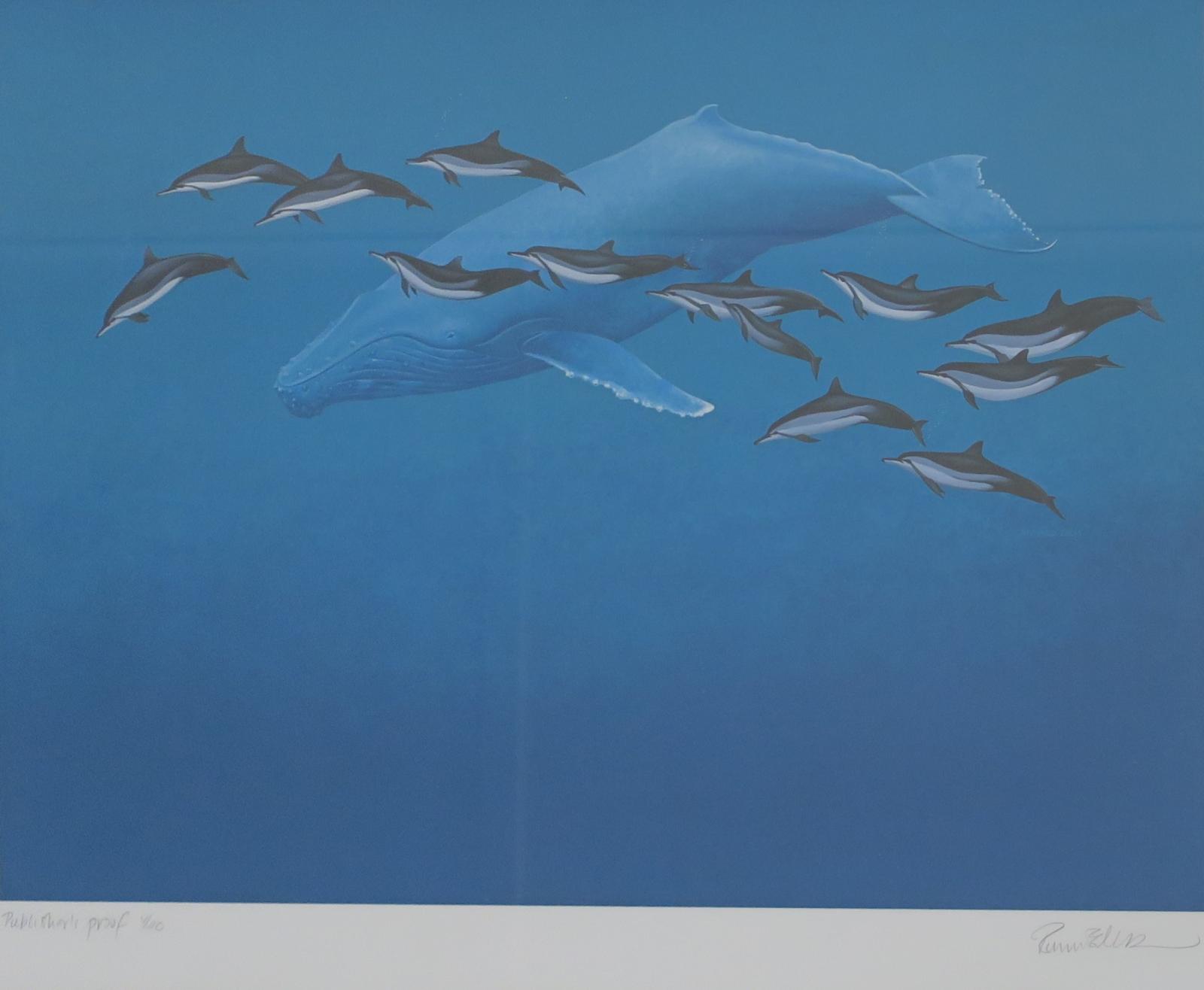 Framed commercial lithograph of blue-toned humpback whale swimming with a pod of 13 striped dolphins