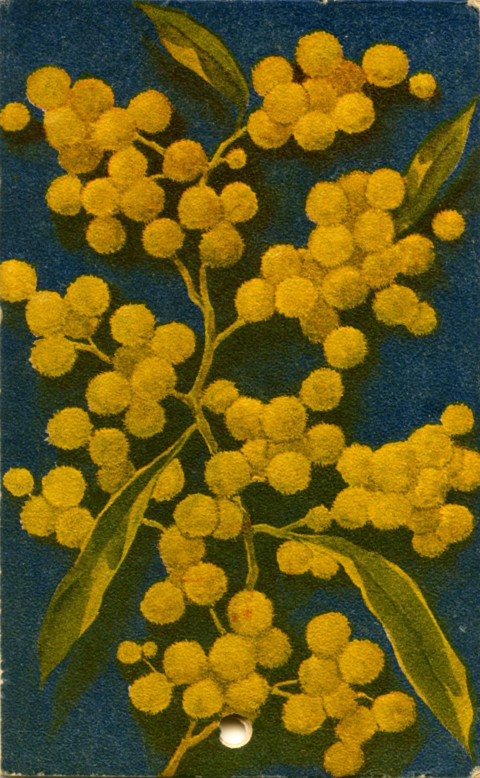 Australian Red Cross Society Hand Book and Diary 1944 - front cover