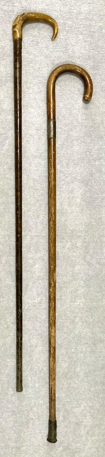 Both walking sticks