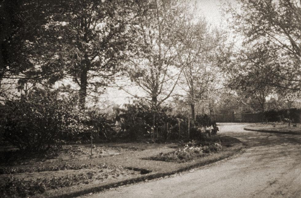 'Knutsford' Driveway And Garden