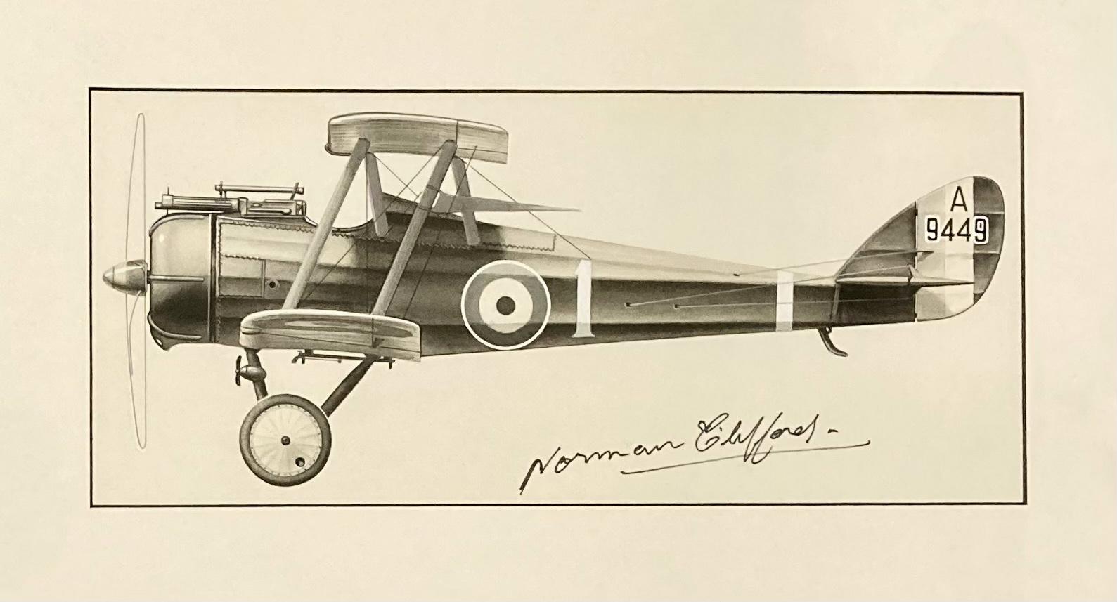 Close up of Norman Clifford profile drawing - Airco DH.5 - A9449