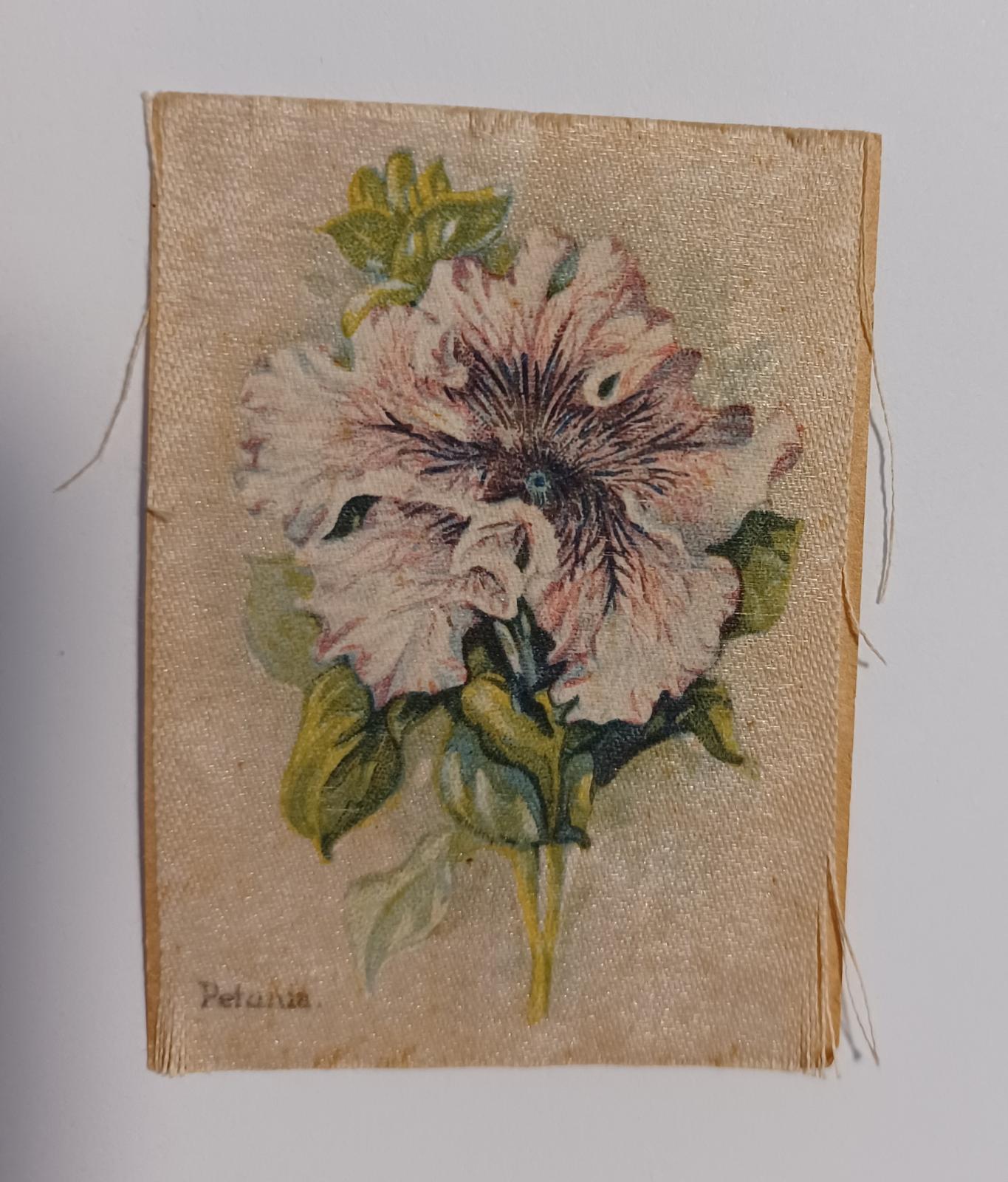 Front of silk card