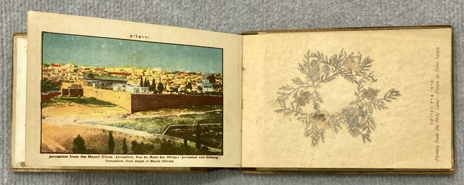 Inside leaves of of souvenir olive wood album 