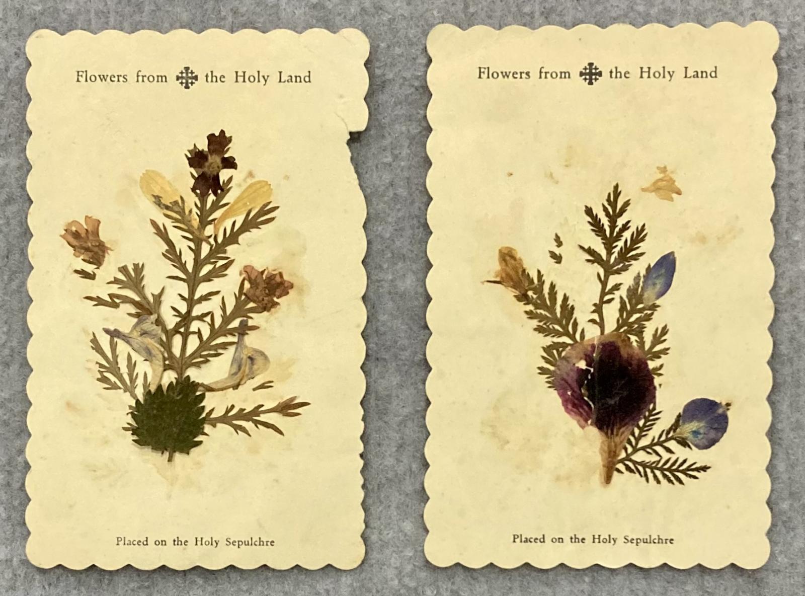 Front of cards with pressed flowers inside album