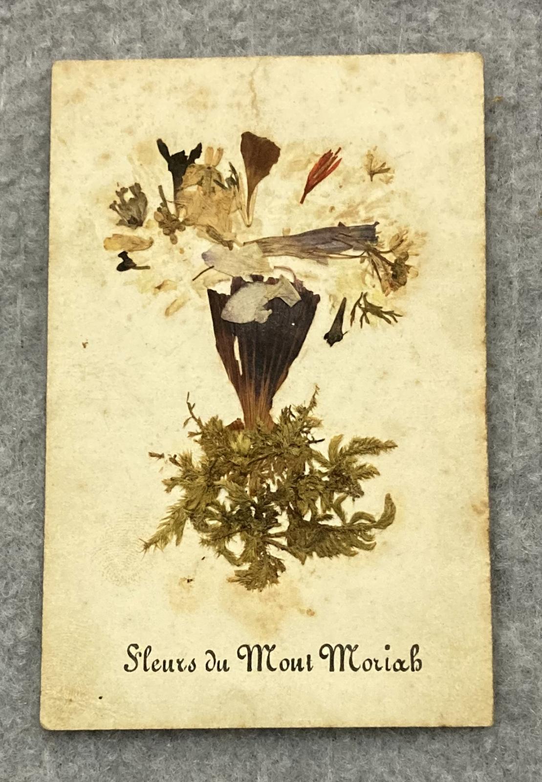 Front of souvenir card with pressed flowers sent by Henry in 1878