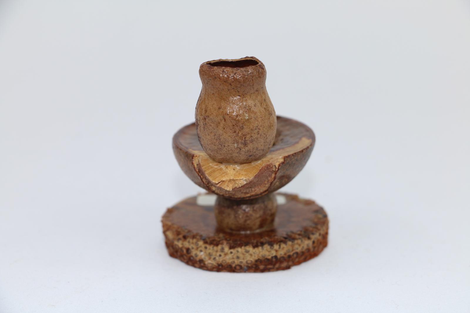 Toilet gumnut figurine made from cross-cut Banksia nut with glued nut supporting a mallee type nut with hollowed-out cross-section depicting toilet bowl with gum nut atop depicting cistern. A label with words 'AUSSIE/ DUNNY' is attached to the Banksia base. The figurine is varnished with clear lacquer.
