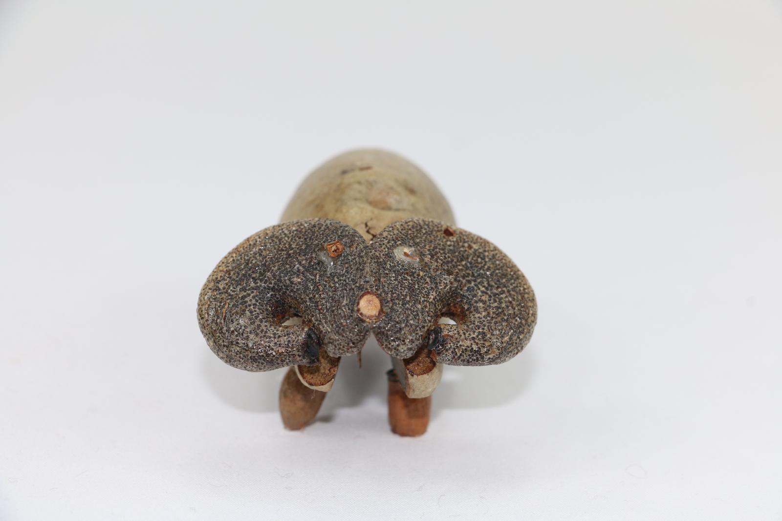  A gumnut figure in shape and style of a 'ram' is fashioned by a large unidentified eucalypt split nut with seed pods attached denoting legs and a hakea nut split in half attached at top of nut depicting ram's horns.