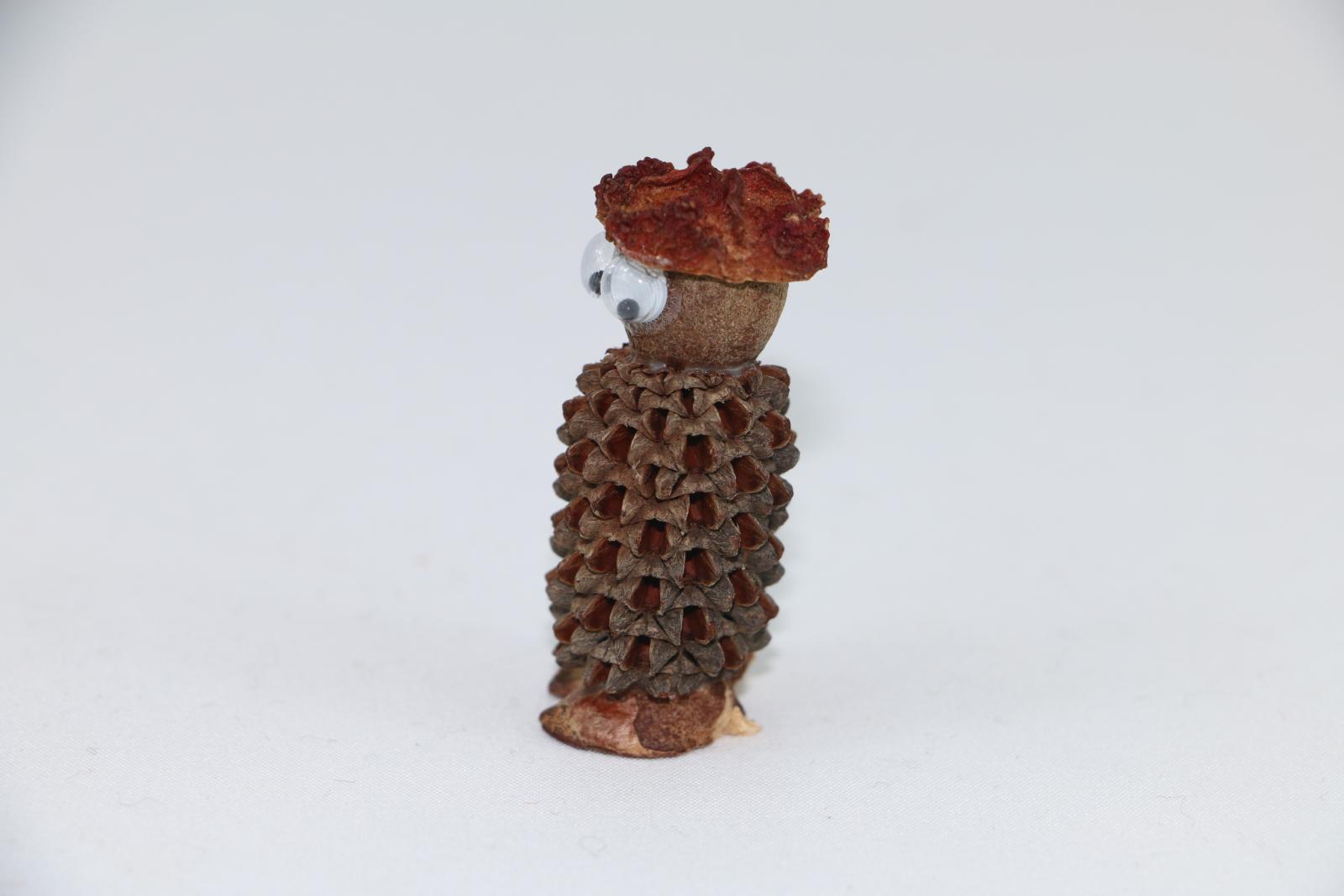A sheoak nut with a large nut glued on top to represent a head.. Glued to the front of the nut are two large, plastic, goggle eyes. On top of the nut is glued a seed cap to represent a hat. Underneath the sheoak nut are two small split seeds to represent feet.