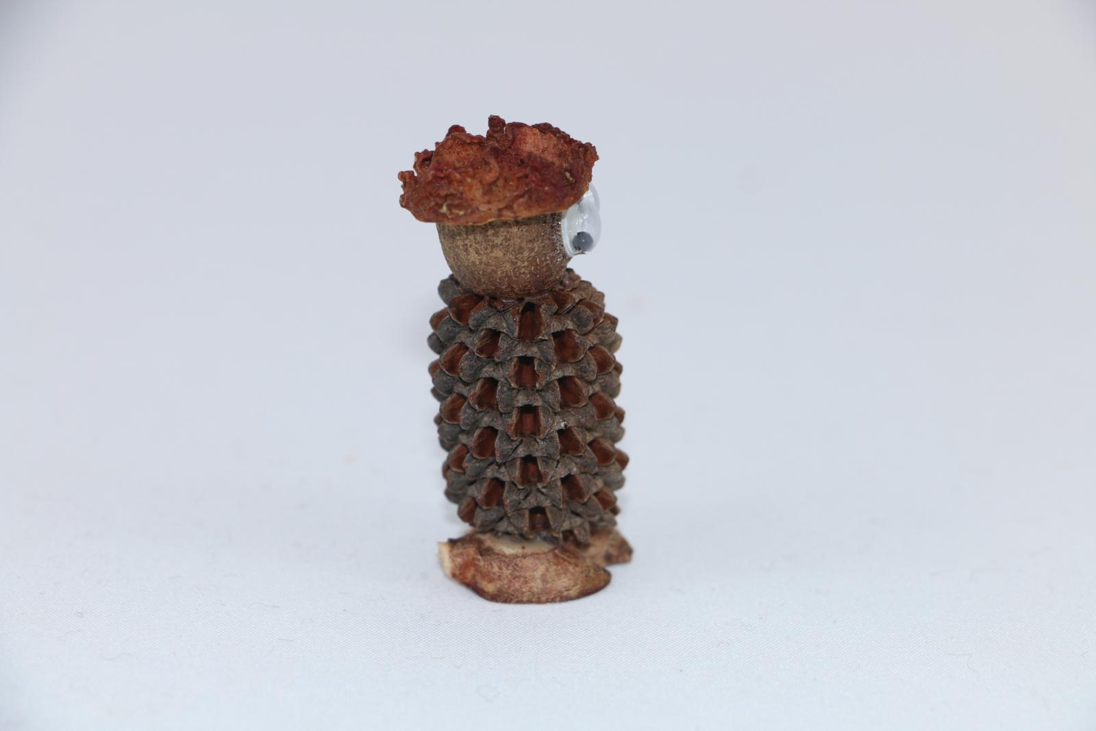 A sheoak nut with a large nut glued on top to represent a head.. Glued to the front of the nut are two large, plastic, goggle eyes. On top of the nut is glued a seed cap to represent a hat. Underneath the sheoak nut are two small split seeds to represent feet.
