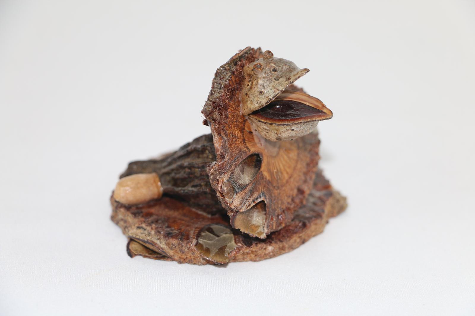 Small lizard figure made from plants on a circular plant base, there is a gumnut at the back on the right hand side. 