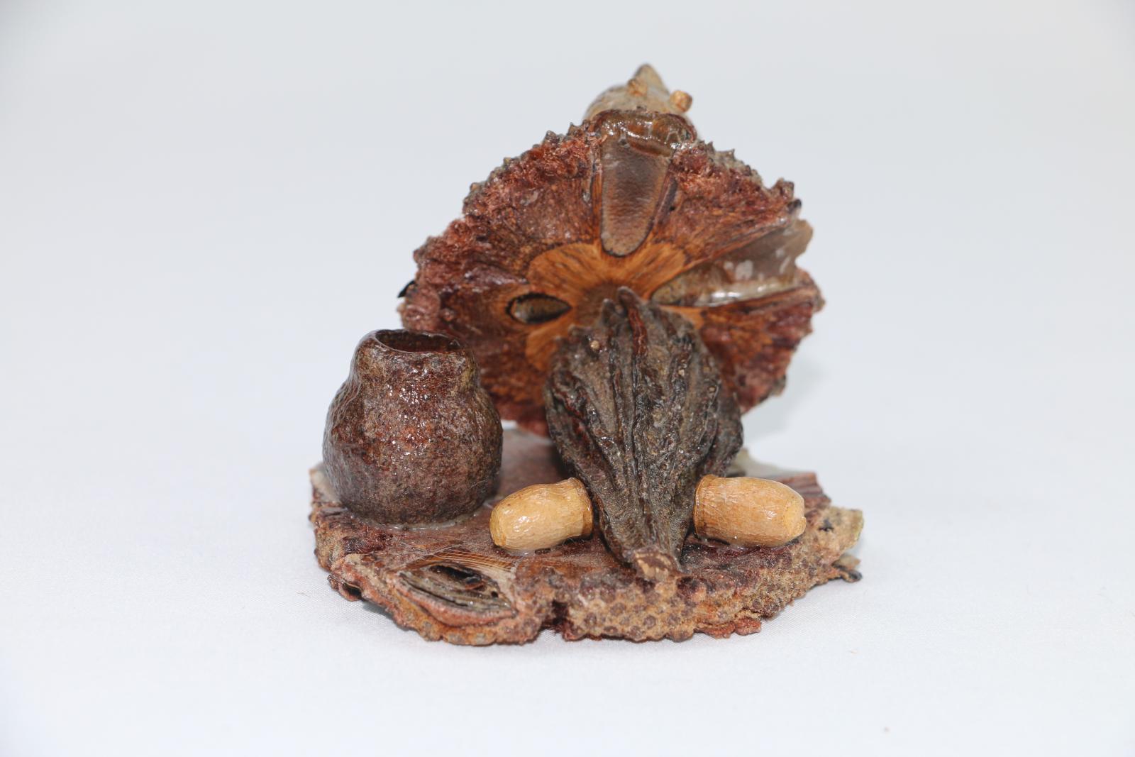 Small lizard figure made from plants on a circular plant base, there is a gumnut at the back on the right hand side. 