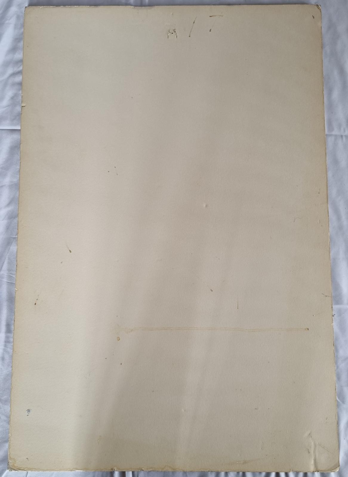 25-209.1 Photo Collage Poster back side image with background. 