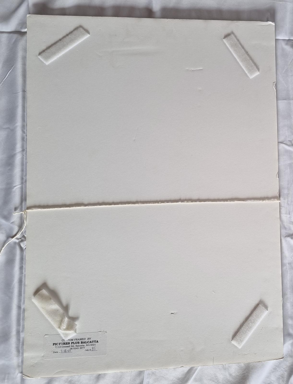 25-210.1 Small Photo Collage Poster back-side image with background. 