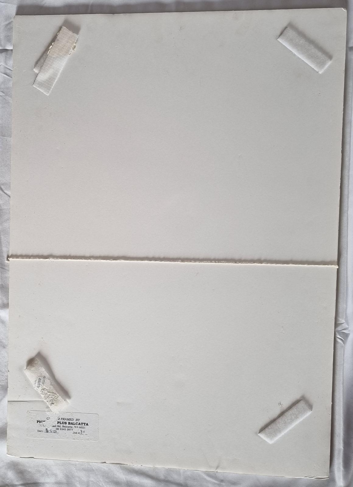 25-210.2 Small Photo Collage Poster back-side image with background. 