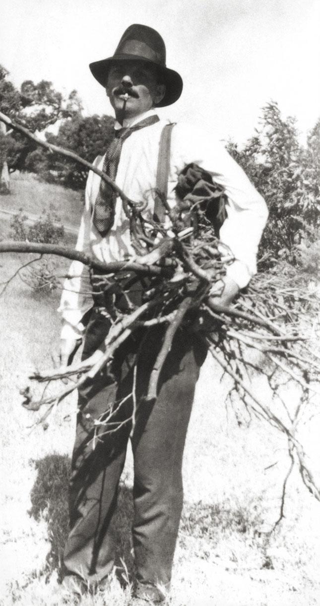 William Shaw Collecting Firewood