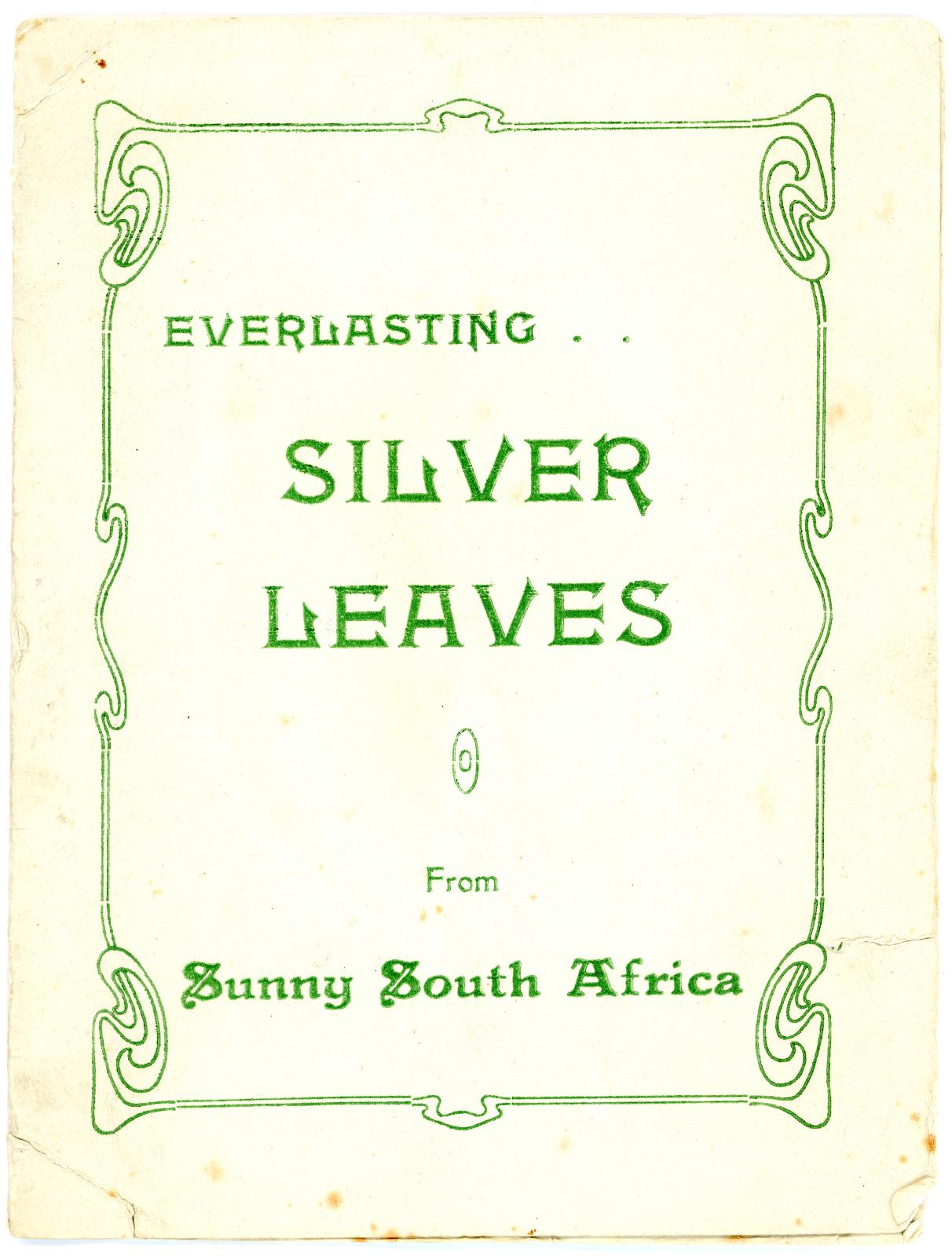 First World War South African Souvenir Card sent home from Pte. Edward Charles MOUCHEMORE