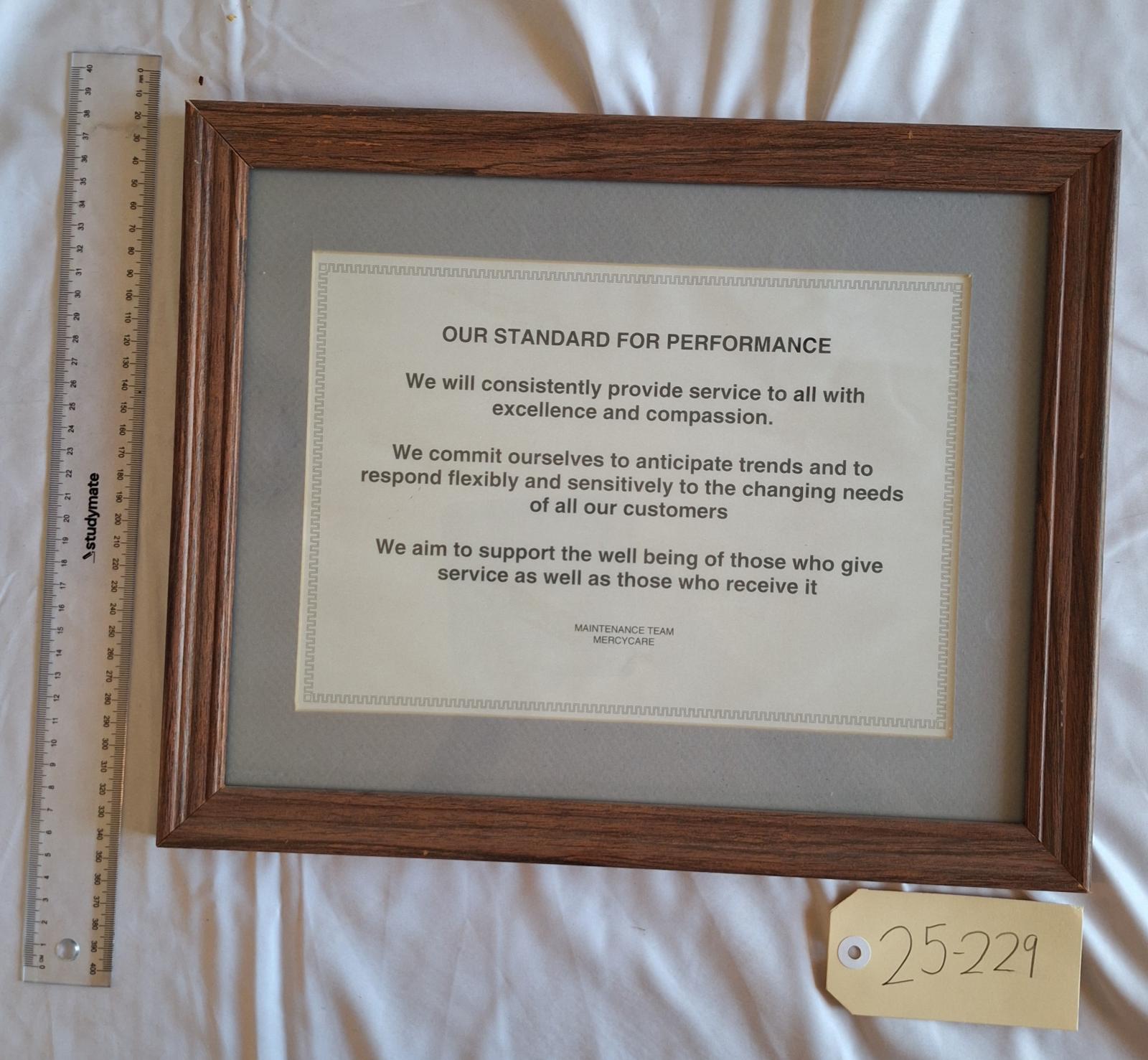 25-229 Framed Standards for Performance MercyCare Maintenance Team image with scale and tag