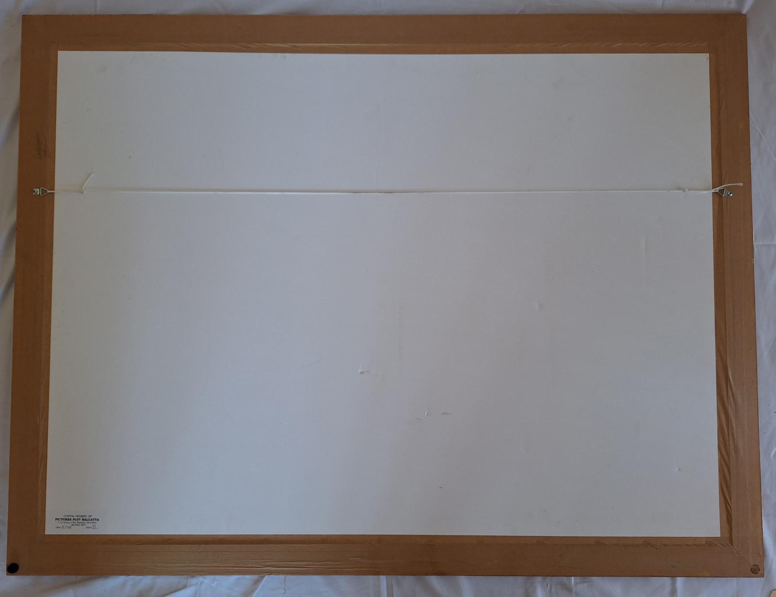 25-234 Aerial View Image of Webley Campus image of the back of frame