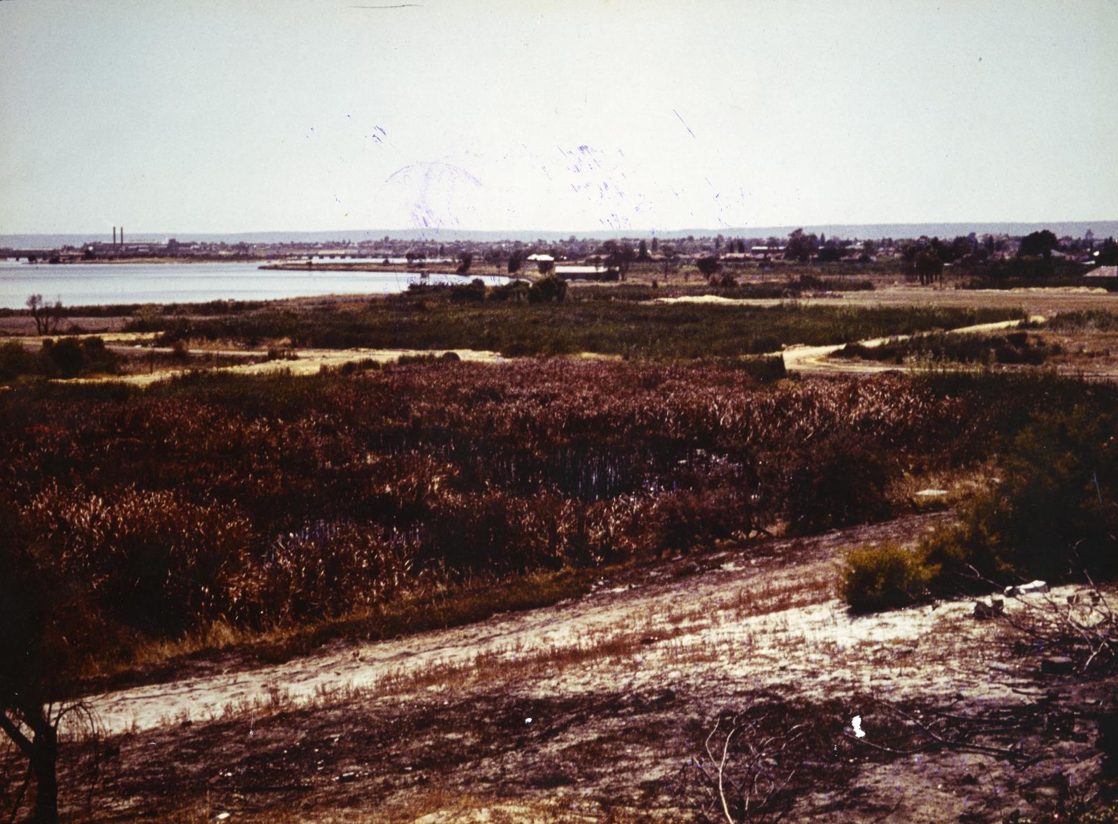 A field on a river bank.
