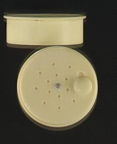 Top view of Open Powder Puff Container