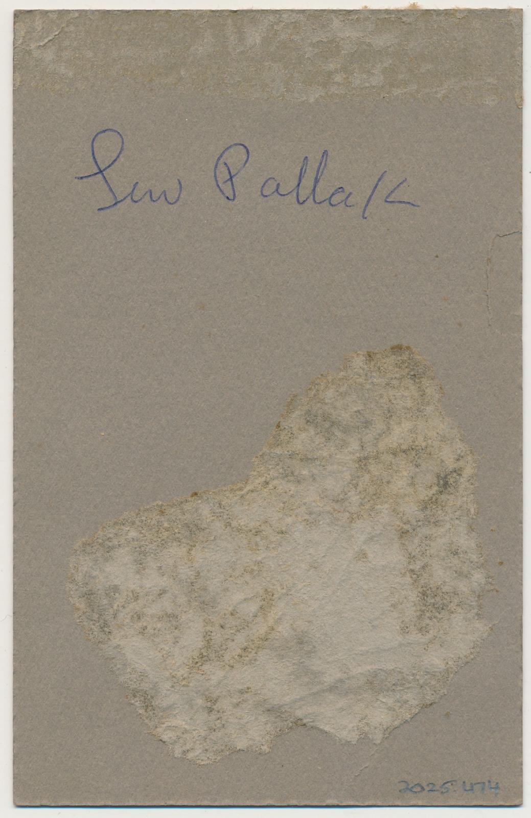 Back of photograph of Lewis Polak