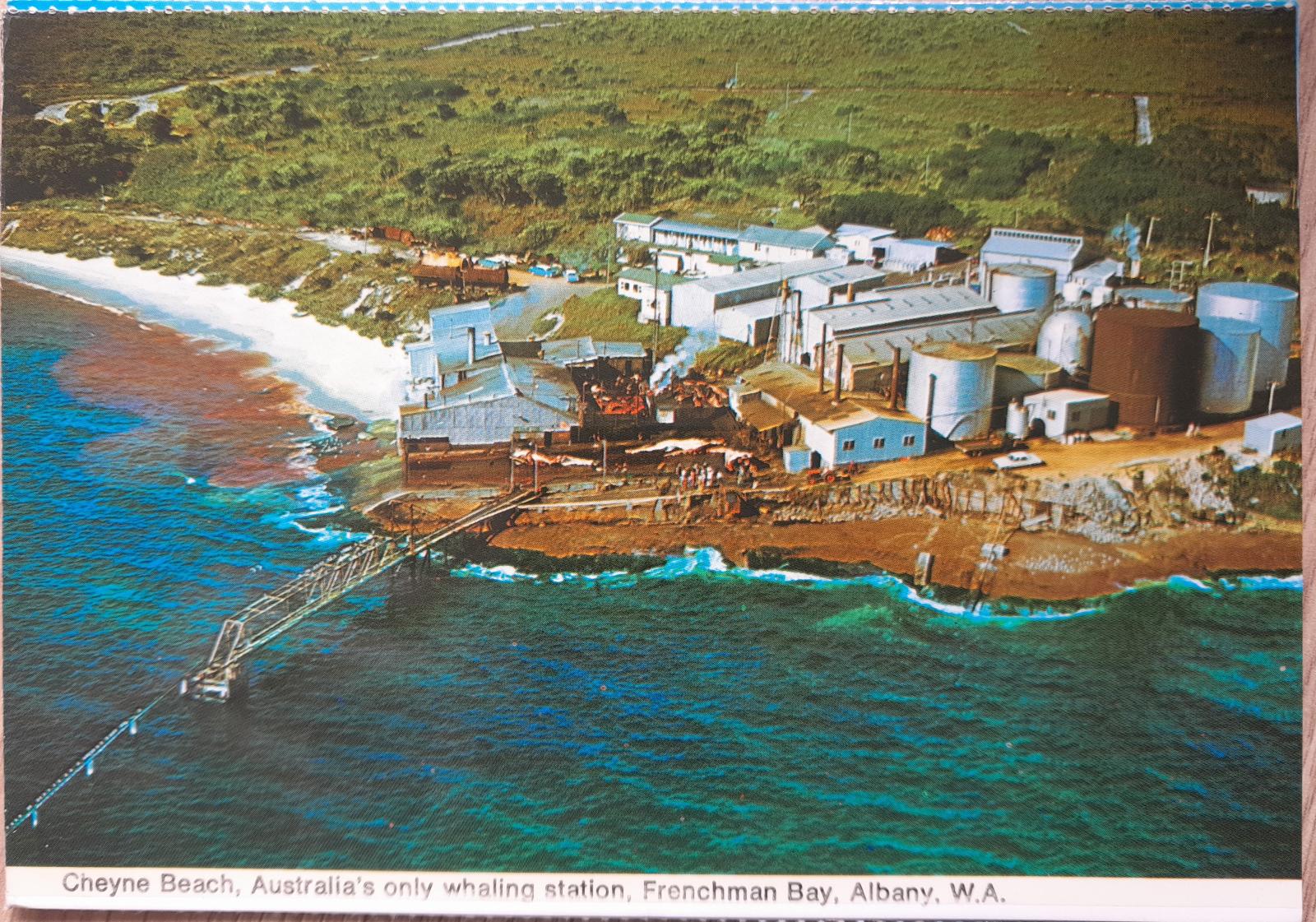 Cheyne Beach Whaling Station form the air, showing flensed whales on the deck. Australia's only whaling station, Frenchman Bay, Albany, W.A.