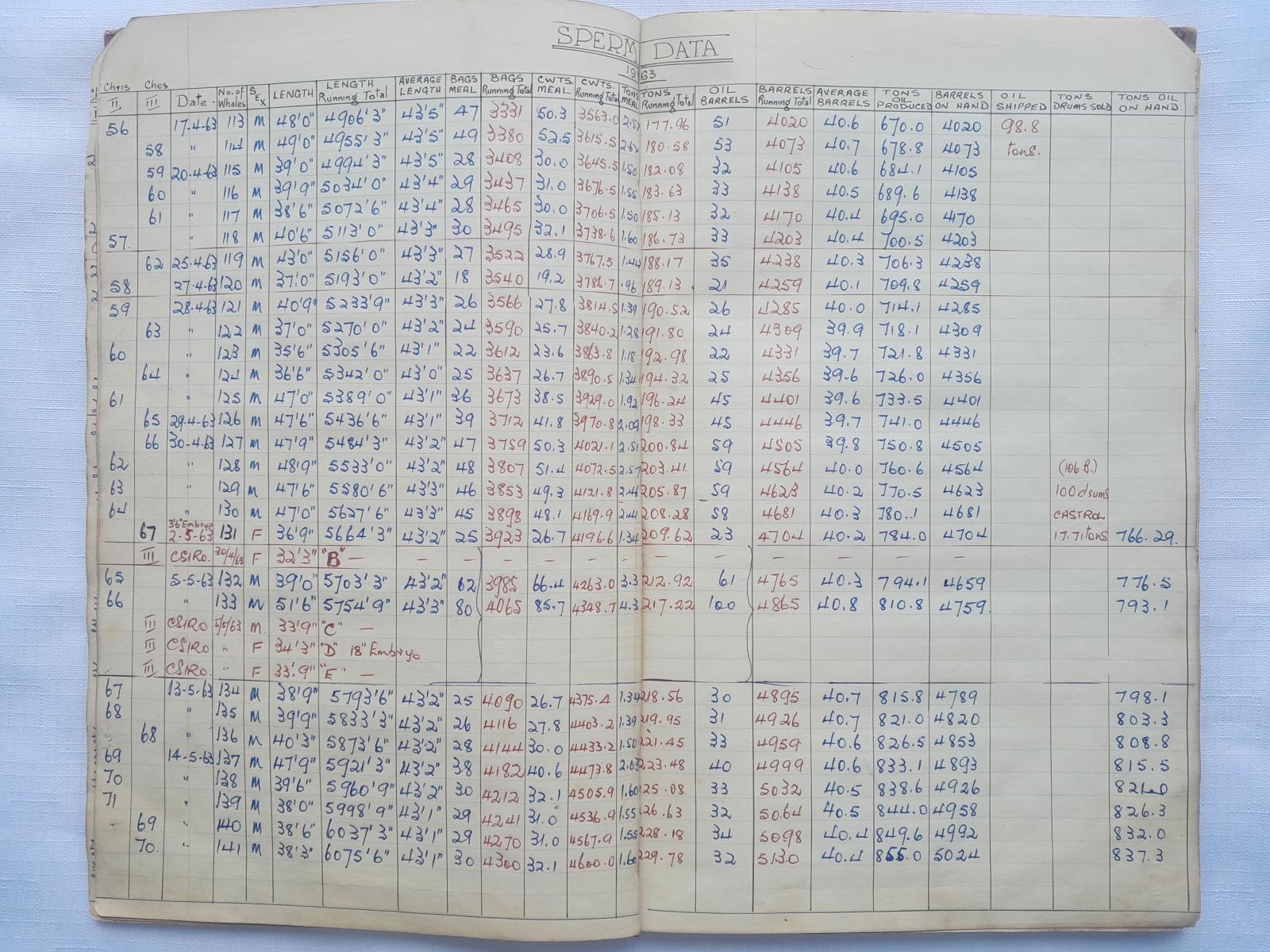 1963 Season Sperm Whale data example page