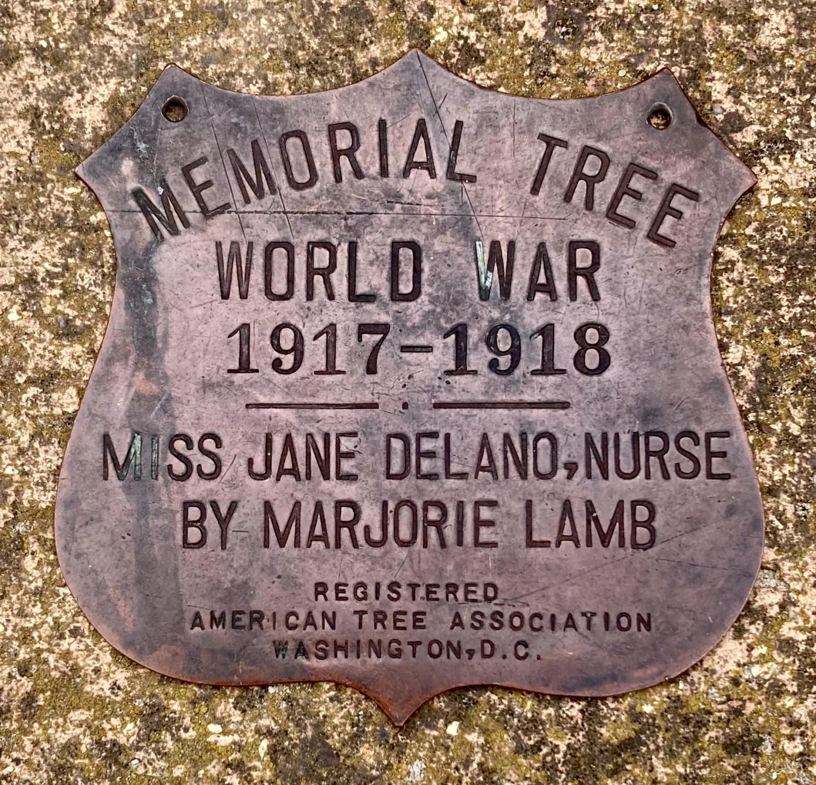Copper memorial plaque commemorating American nurse Jane Delano