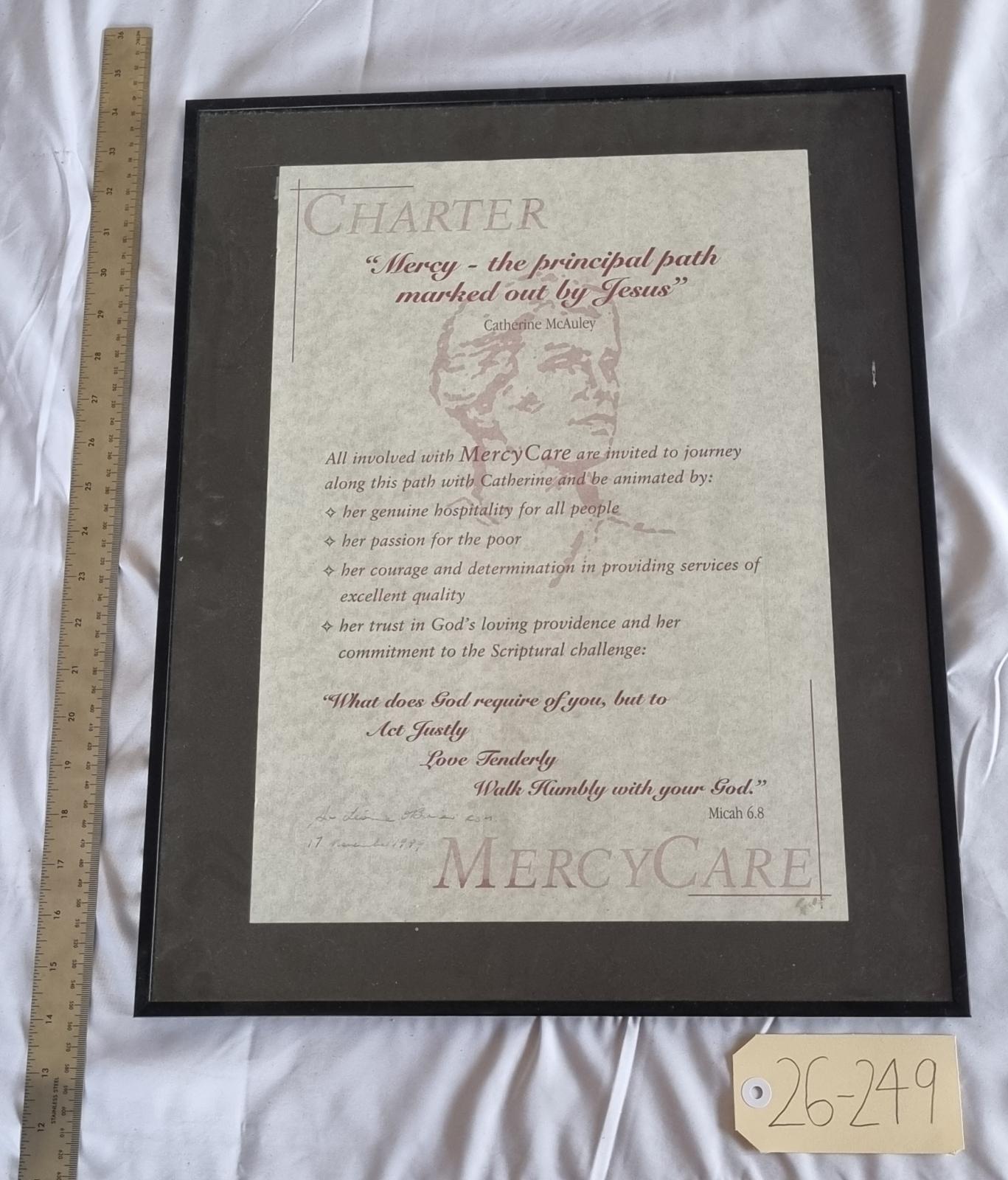 26-249 MercyCare Charter Sign photo with background, scale and tag.