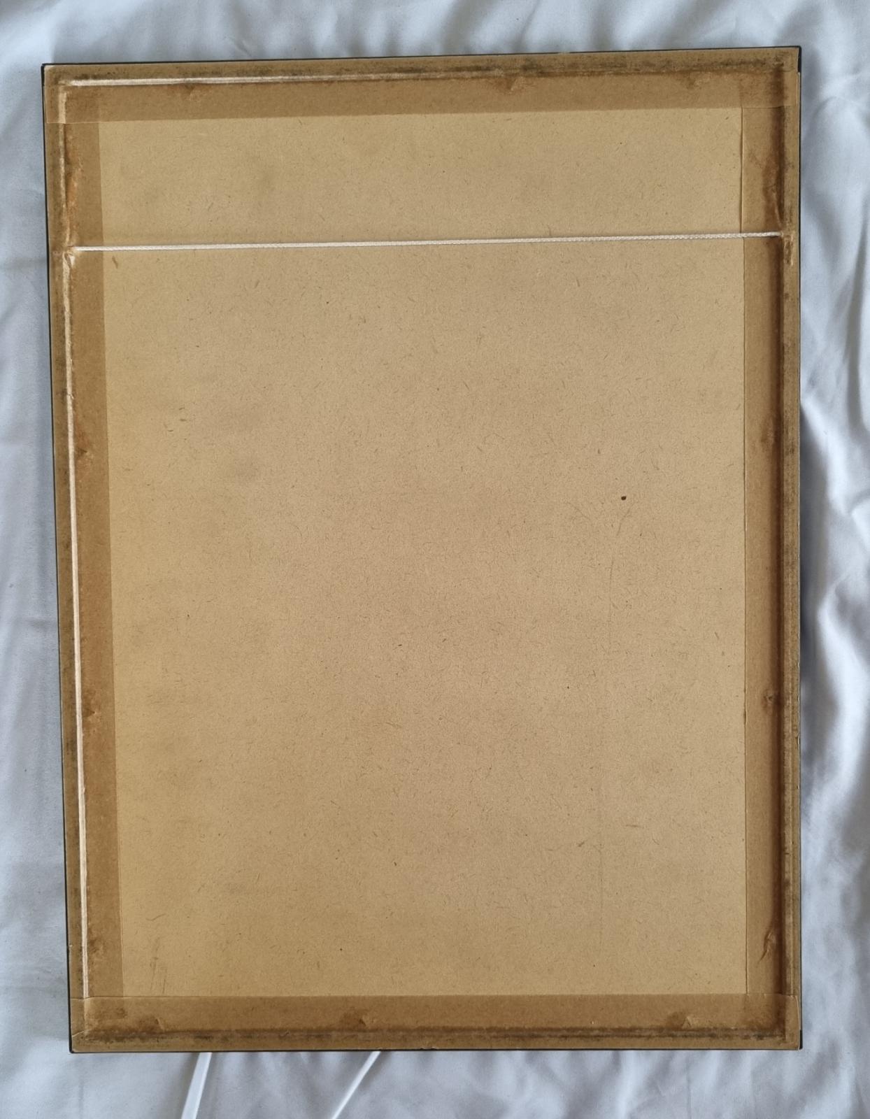 26-250 Corporate Membership Certificate photo with background back view.