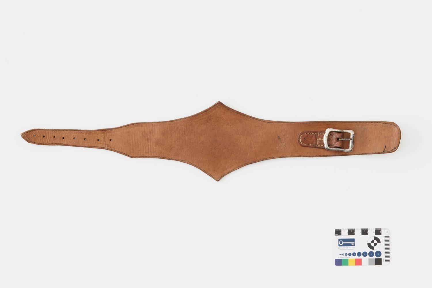 Strap