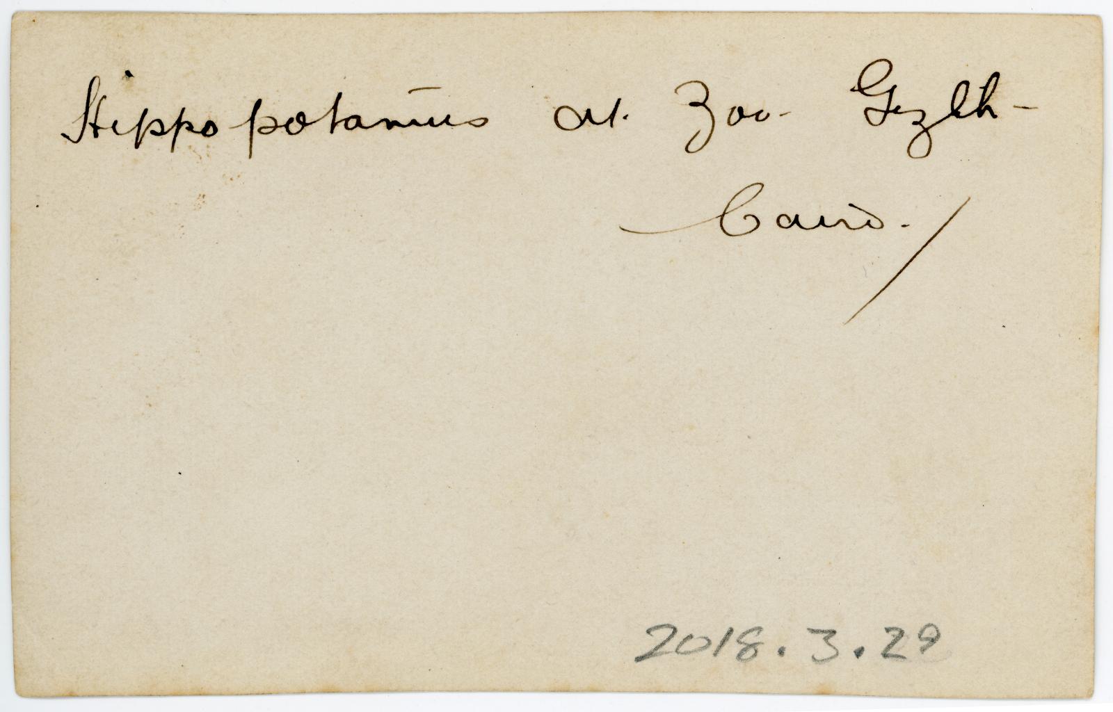 Rear view of photo showing inscription.