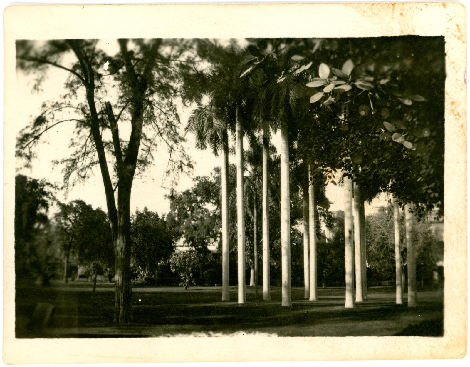 Front of Image