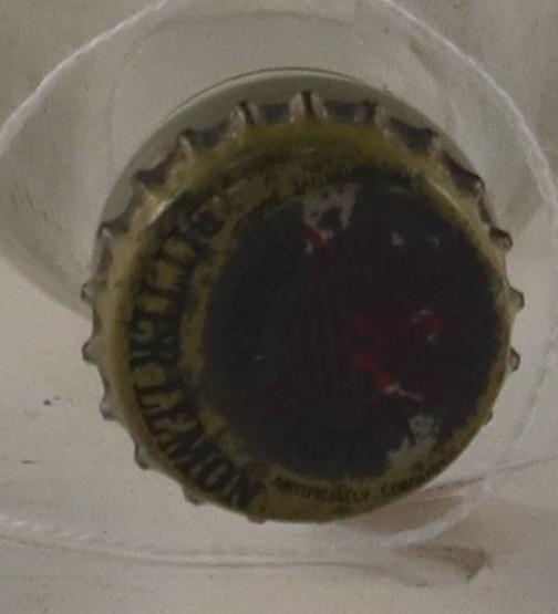 Lid of GSR Drink Bottle