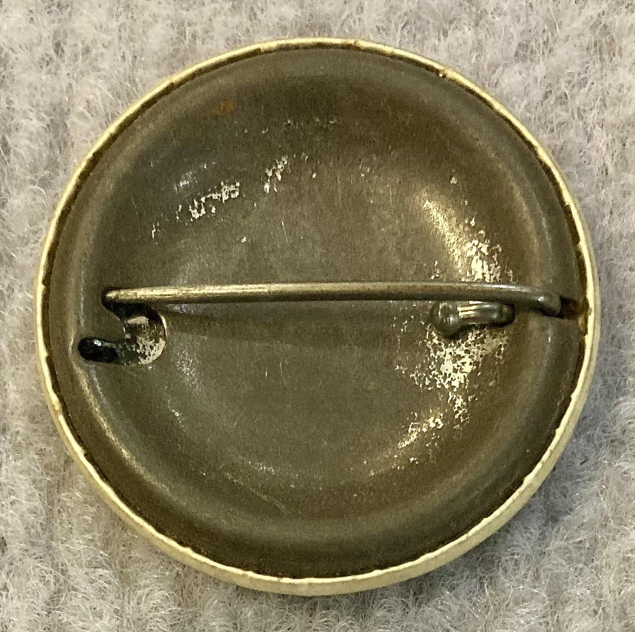 WWI era badge with unit colors of 3rd Light Horse Regiment, South ...