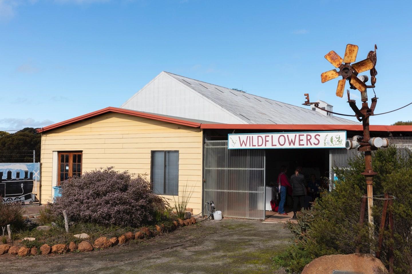 A photo of a building with a sign saying 'WILDFLOWERS'