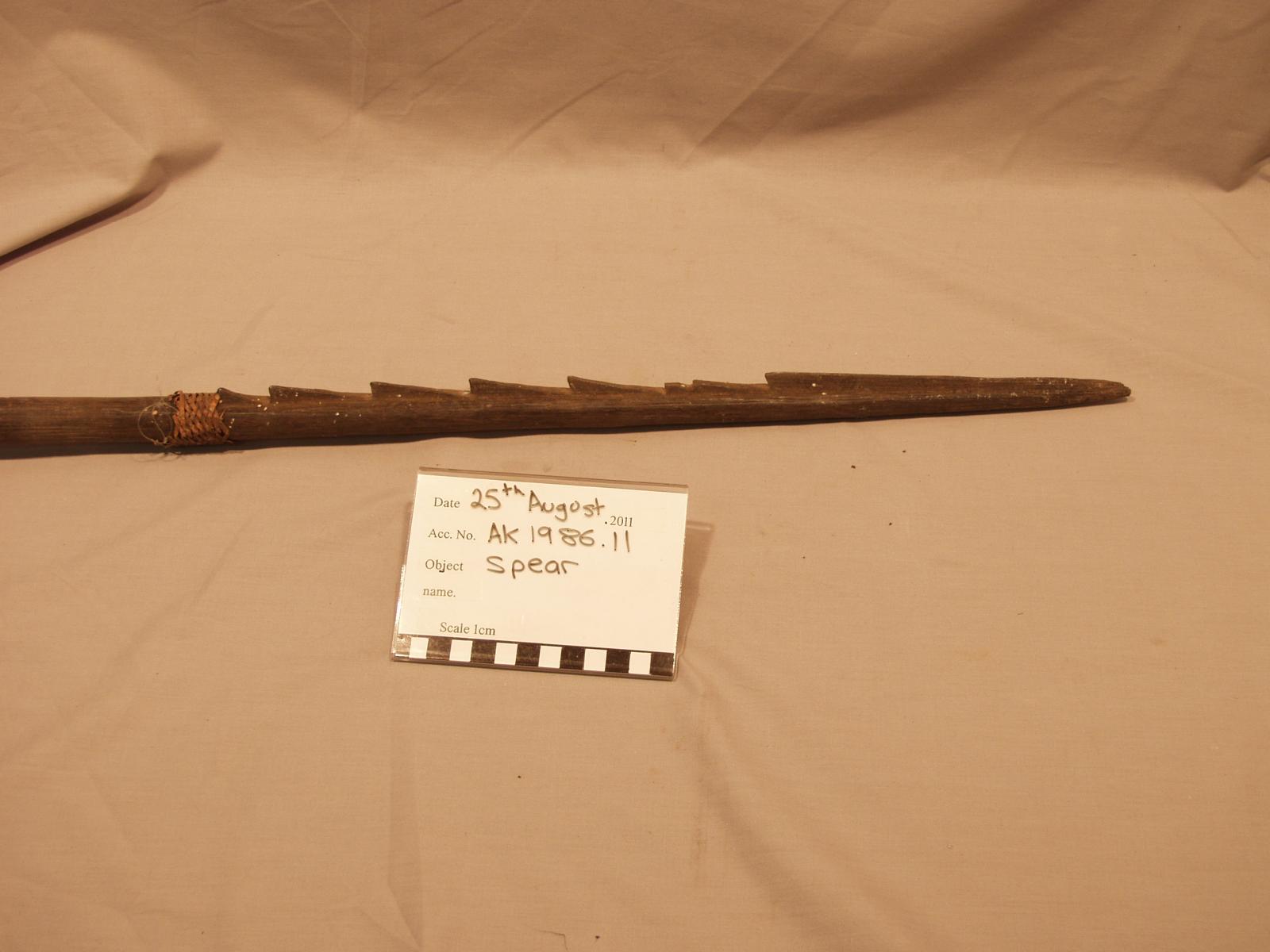 6-barbed head of an aboriginal spear.