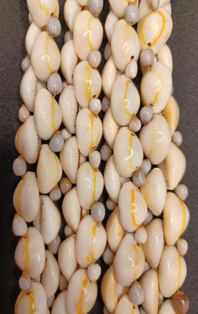 Cowrie Shell Necklace