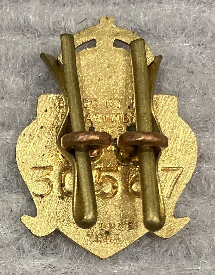Reverse of Australian Army Reserve gilded brass lapel badge